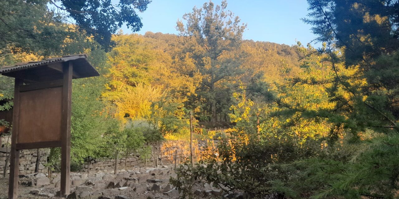 Un giardino Botanico particolare a San Paolo Albanese borgo piu piccolo della Lucania