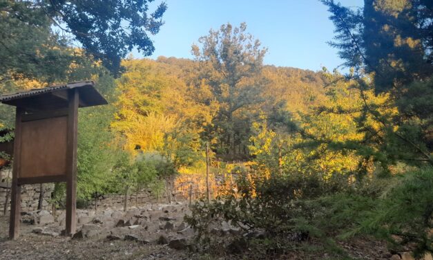 Un giardino Botanico particolare a San Paolo Albanese borgo piu piccolo della Lucania