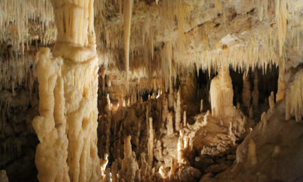 Da giugno a settembre quasi 160mila persone hanno visitato le Grotte di Castellana.