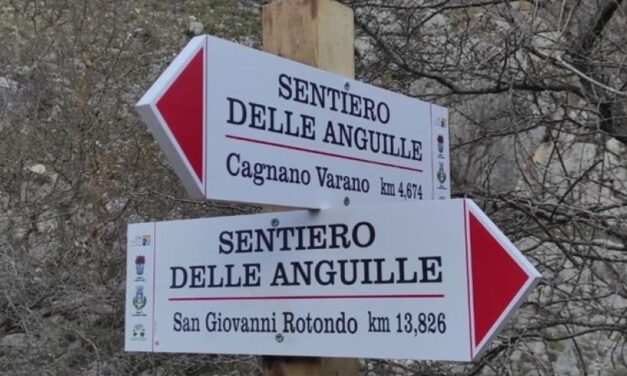 Restaurato “Il sentiero delle anguille” l’antica mulattiera tra San Giovanni R. e Cagnano Varano