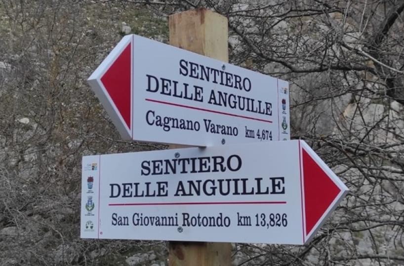 Restaurato “Il sentiero delle anguille” l’antica mulattiera tra San Giovanni R. e Cagnano Varano