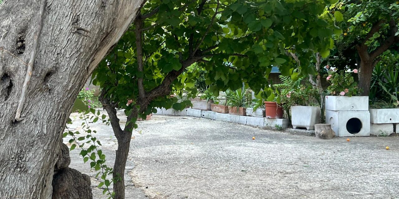 Giugno in musica. Dal 1 giugno parte la rassegna musicale della Factory di Arte in Volo alla Masseria San Gaetano a Bari