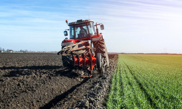 Buona Destra città metropolitana di Bari vicina ai lavoratori agricoli ancora esclusi dal sostegno Covid