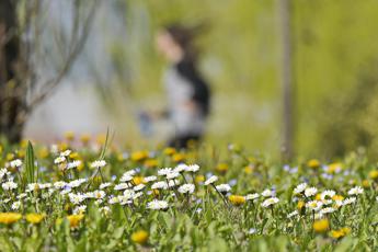 Pioggia e maltempo, poi torna il sereno: primavera in arrivo? Le previsioni meteo di oggi