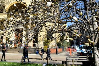 Scoppia la primavera, arrivano sole e temperature oltre i 20°: meteo oggi e domani