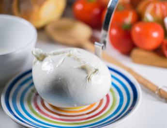 Alimenti, Consorzio Mozzarella Bufala Campana Dop: “Nel 2023 effettuate 5mila verifiche”