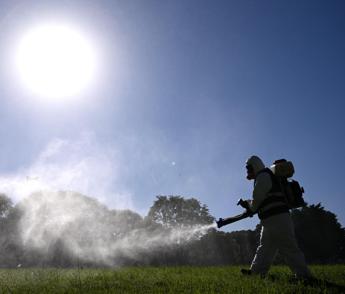 Dengue, coppia contagiata in Umbria: “Avevano fatto un viaggio all’estero”