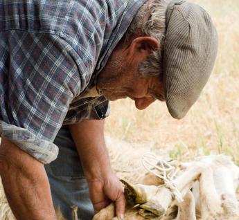 Consumi e abitudini, come è cambiato lo stile di vita in Sardegna