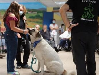 Pet Therapy e non solo: gli amici a 4 zampe diventano protagonisti nelle Rsa