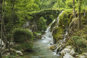 Ecocidio, Avs propone reato per chi danneggia ambiente, da 12 a 20 di reclusione