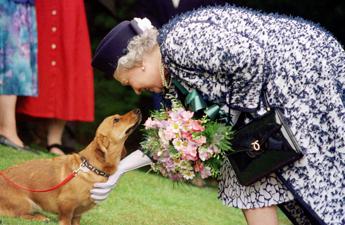 Dai Corgi di Elisabetta al Teckel di Margrethe, cani passione reale