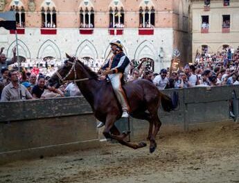 Palio di Siena, trionfo Lupa: chi è Velluto, il fantino che ha vinto