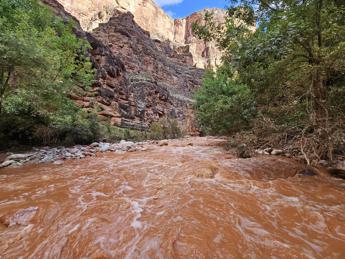 Paura al Grand Canyon per inondazioni improvvise, oltre 100 persone evacuate – Video