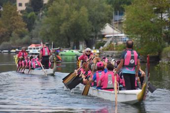 Tumori, tappa torinese per la prevenzione cardio-oncologia del Dragon Boat Festival