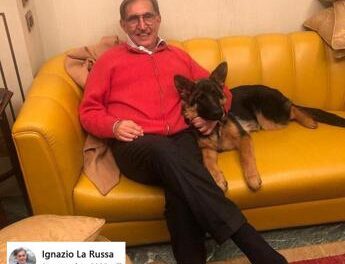 Cani e gatti al Senato, La Russa: “E’ il momento di dare l’ok”