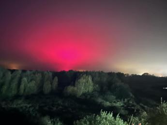 Crede di assistere all’aurora boreale, ma è una fabbrica di pomodori: l”abbaglio’ colpa delle luci