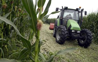 Emilia-Romagna: ricerca Adnkronos, per Di Gregorio: “Male sicurezza, bene occupazione”