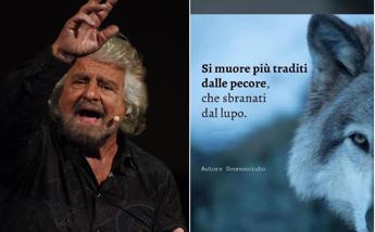 Grillo punge su Whatsapp: “Si muore più traditi dalle pecore che sbranati dal lupo”