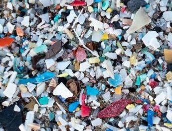 Microplastiche anche nel cervello, pari a un terzo di bottiglia