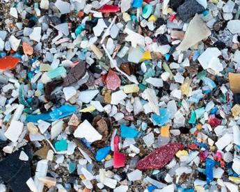 Microplastiche anche nel cervello, pari a un terzo di bottiglia