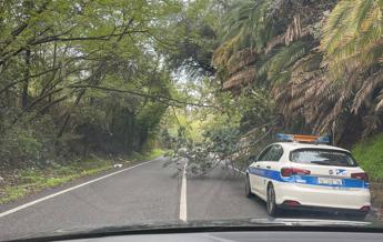 Roma, alberi caduti bloccano via Portuense: residenti ‘prigionieri’