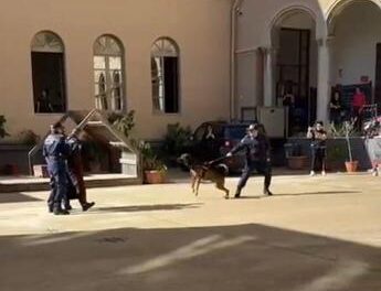 Palermo, spari a salve a scuola davanti ai bambini: è polemica