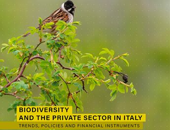 Rapporto Etifor, tutela della biodiversità è una responsabilità condivisa