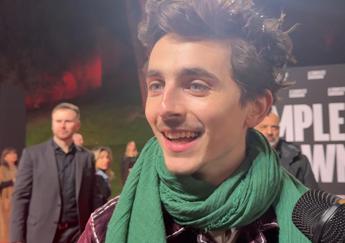 Timothee Chalamet: “Un biopic su Totti? Lo farei subito”