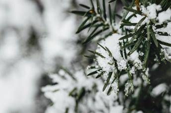 Temperature giù di 10 gradi, colpo di coda dell’inverno sull’Italia